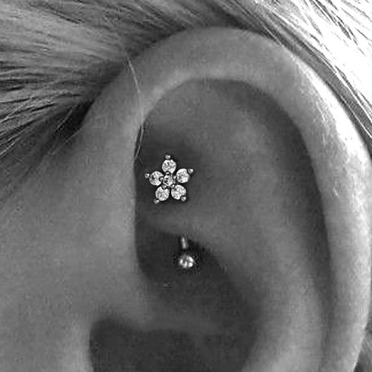 Rook