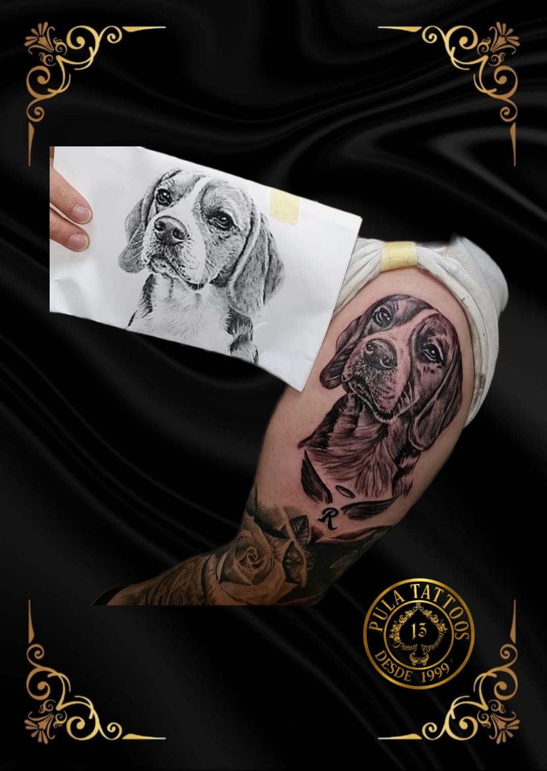 Retrato Canino